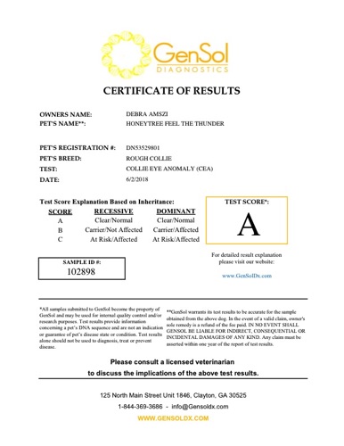 ThunderTestCEA-nc vxvGensolResult102898.pdf.jpg ThunderTestCEA-nc vxvGensolResult102898.pdf.jpg